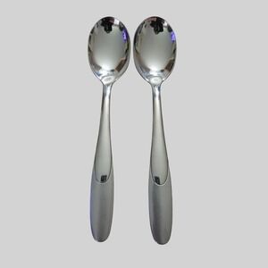 Oneida‎ Paramount Stainless Teaspoons Set of 2 Discontinued Satin Glossy Vintage